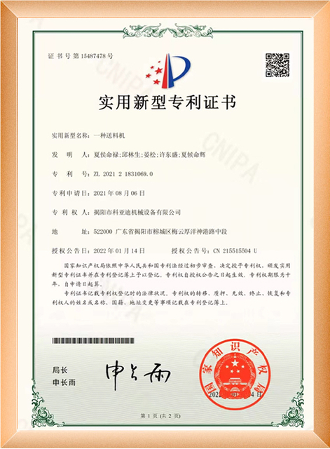 Brief Patent 1